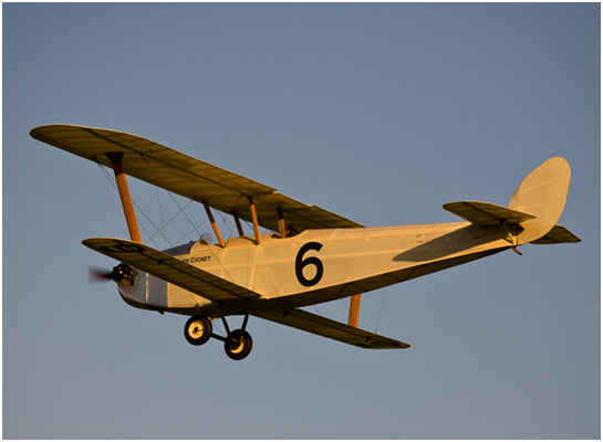 Cygnet Hawker Aircraft