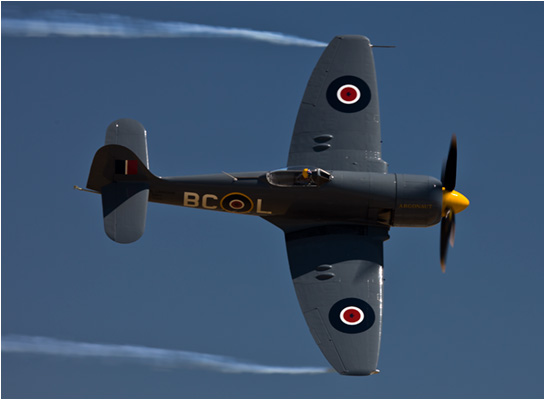 Hawker sea fury navy fighter plane pictures
