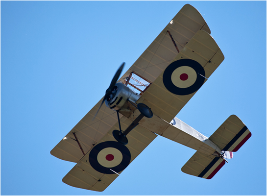 Pup images biplane fighter