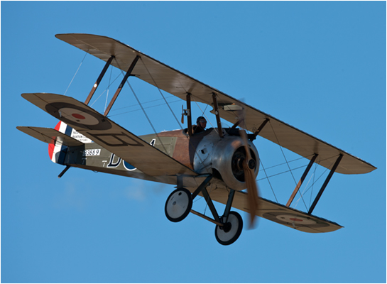 Sopwith Pup images