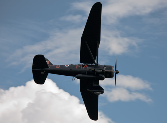 Lysander airplane pictures