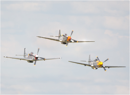 P51D mustang images
