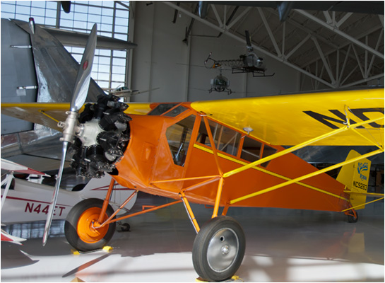 Curtis Robin pictures evergreen