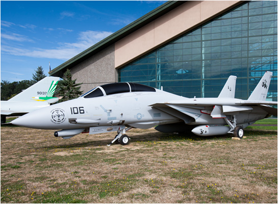 Grumman F-14D Super Tomcat pictures