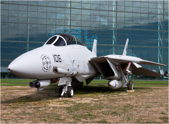 Tomcat navy fighter images