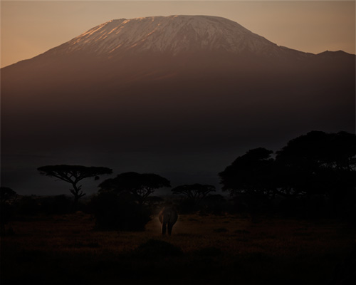 Mount Kilimanjaro samburu safari