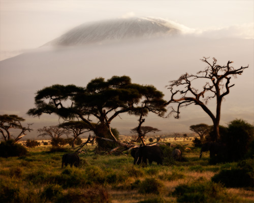 safari kenya