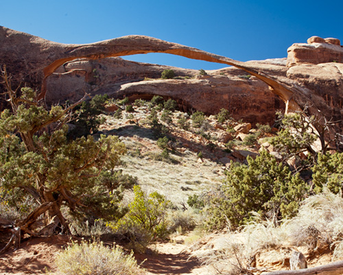 arches,moab,utah