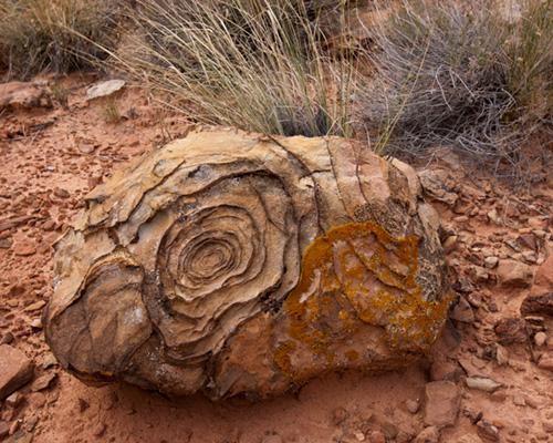 capitol reef geology