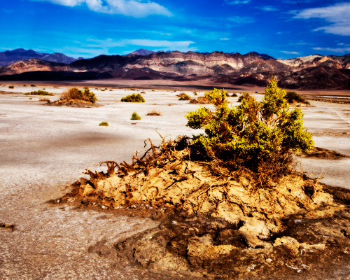 death valley pictures
